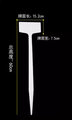 Пайз 15,2см өргөн, 60см урт