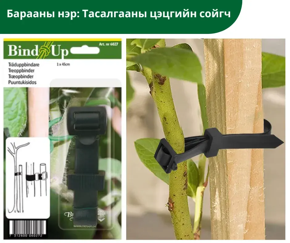 Тасалгааны цэцгийн сойгч