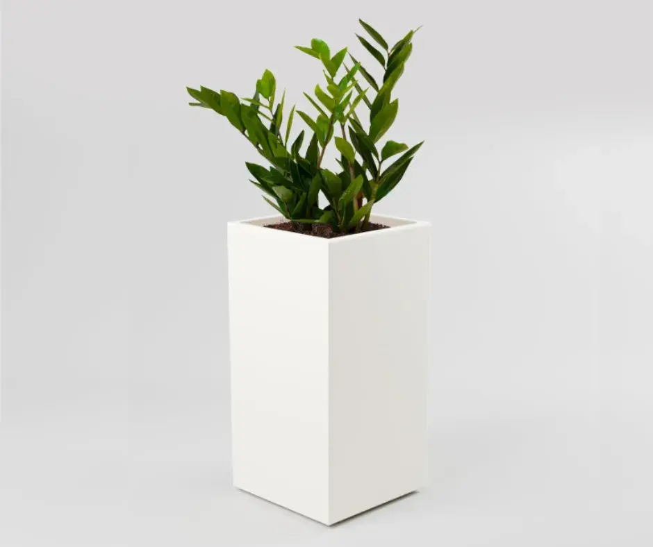 Дөрвөлжин өндөр цэцгийн сав 57.5см