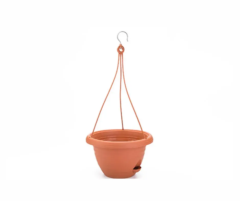 Өлгөдөг цэцгийн сав C103A00A0