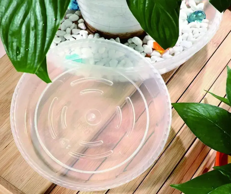 Тунгалаг суурь 220мм