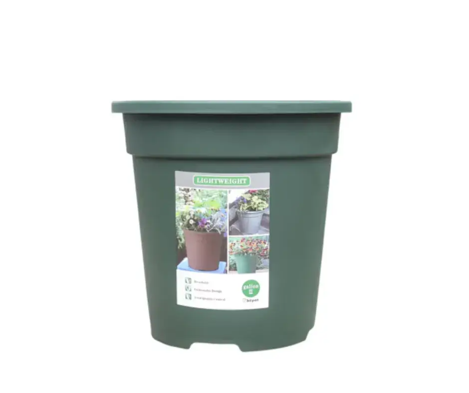 Цэцгийн сав LightWeight