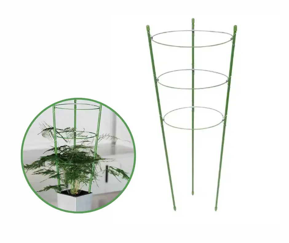 Чиг баригч G612B00 өндөр 60см