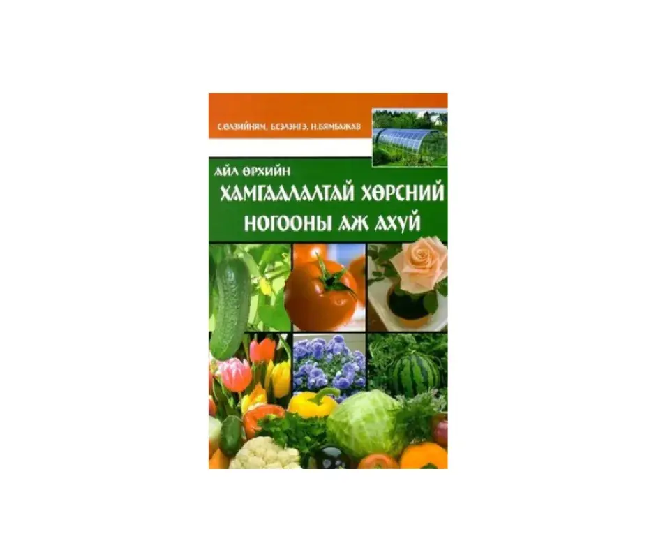 Айл өрхийн хамгаалалттай хөрсний ногооны аж ахуй