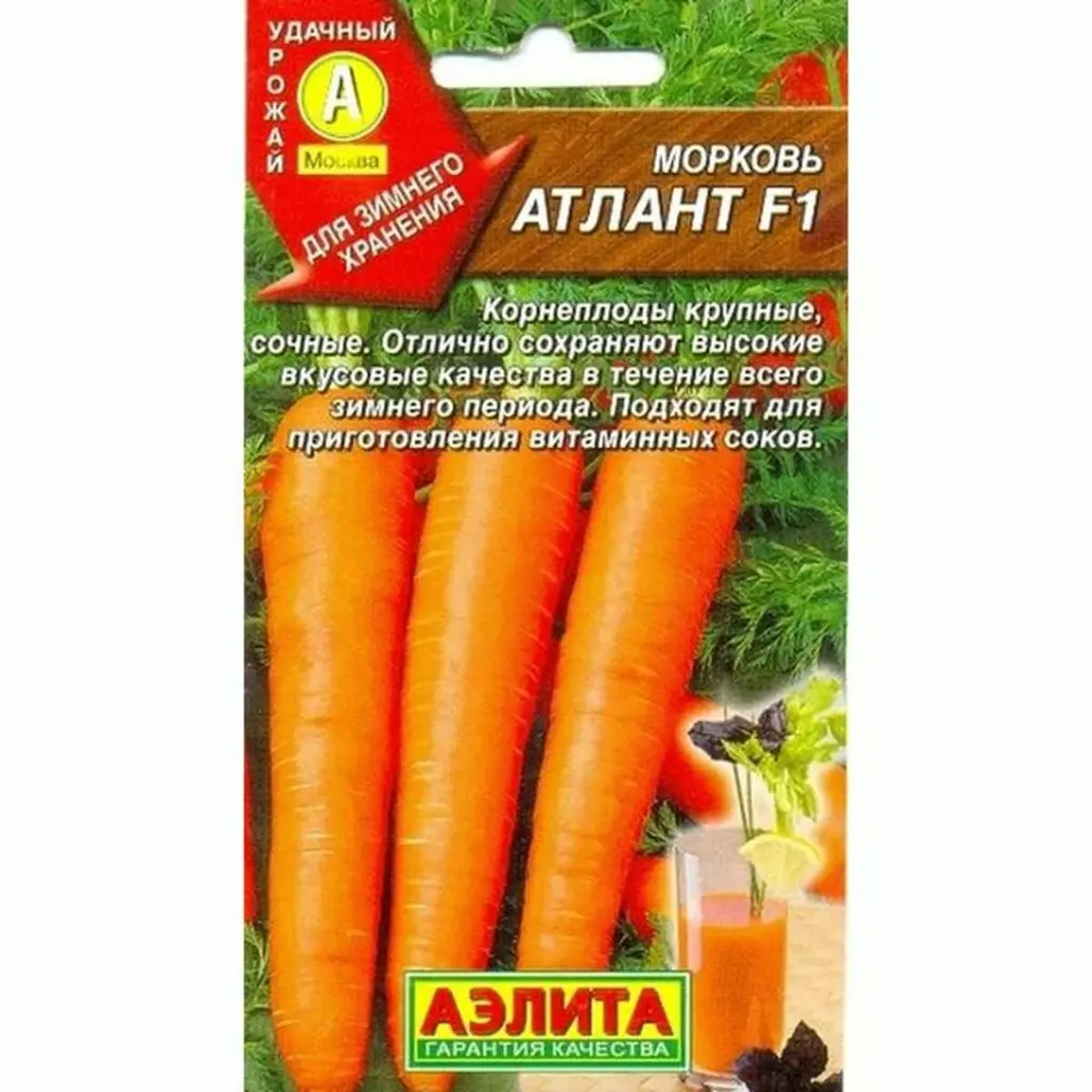 Лууван - Морковь Атлант F1