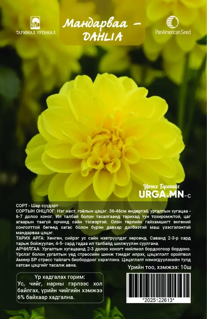 Мандарваа -  DAHLIA  Фигаро цуврал Шар сүүдэрт  /бүрэлтгүй/ Figaro Yellow Shades Dahlia 10ш савалгаатай