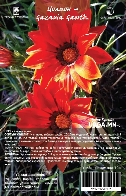 Цолмон - Gazania Gaerth Шинэ өдөр цуврал Улбар судалт /бүрэлттэй/-5ш Таримал Ургамал