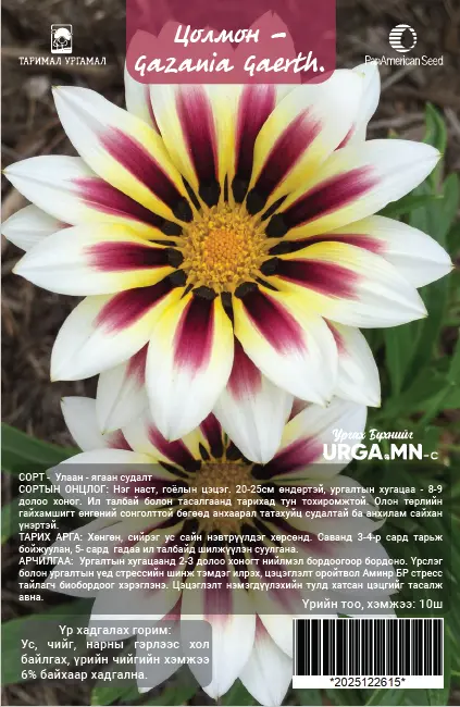 Цолмон - Gazania Gaerth Шинэ өдөр цуврал Улаан ягаан судалт /бүрэлттэй/-5ш Таримал Ургамал