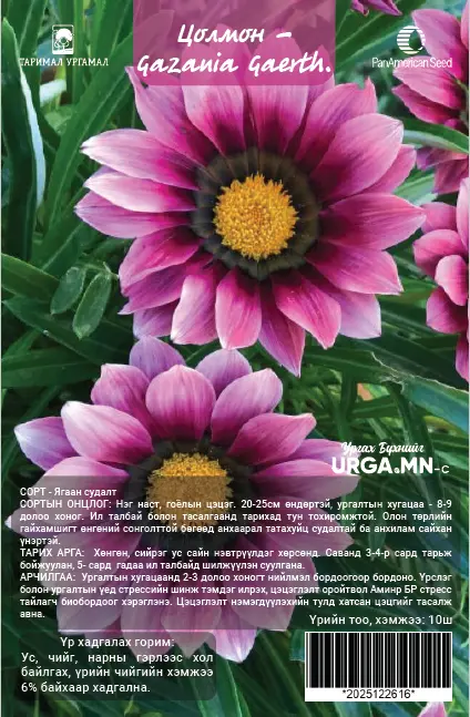 Цолмон - Gazania Gaerth Шинэ өдөр цуврал Ягаан судалт /бүрэлттэй/-5ш Таримал Ургамал