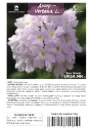 Догор - Verbena L Куарт XR цуврал Мөнгөлөг ягаан /идэвхжүүлсэн/ Quartz XP Silver