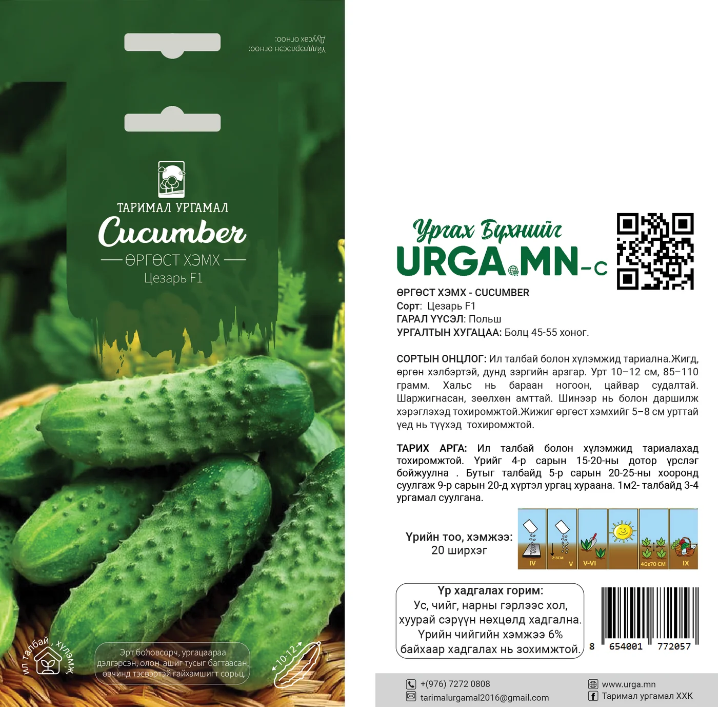 Өргөст хэмх Цезарь F1 cucumber Таримал Ургамал