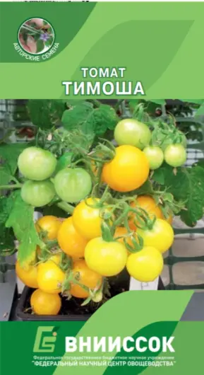 Лооль Томат Тимоша