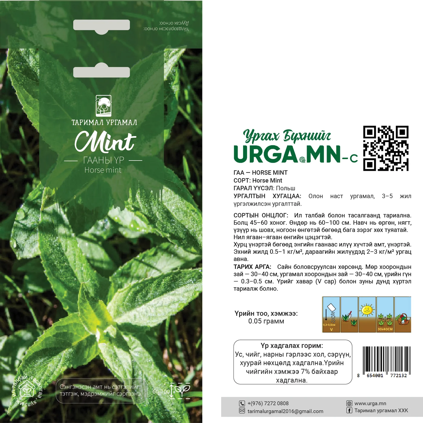 Гааны үр /Horse mint/- Таримал Ургамал