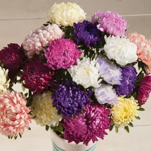 [290118002] Астра холимог 1гр