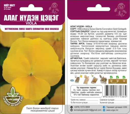 [29020102002] Алаг нүдэн цэцэг /x wittrockiana swiss giants coronation gold goldgelr/