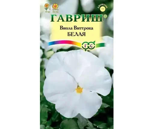 [29020102005] Алаг нүдэн Виола Виттрока Белая