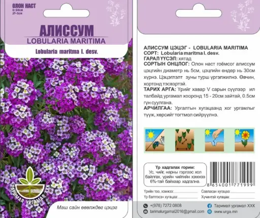 [29020101003] Алиссум цэцэг