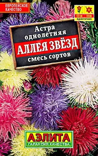 [29020103015] Астра Аллея звезд, смесь сортов
