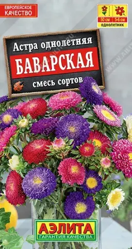 [29020103021] Астра Баварская, смесь сортов