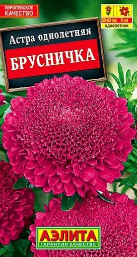 [29020103026] Астра Брусничка