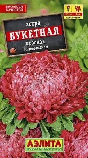[29020103028] Астра Букетная красная