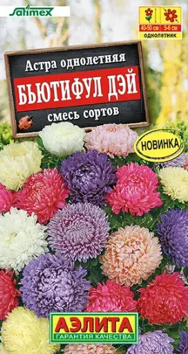 [29020103030] Астра Бьютифул Дэй, смесь сортов