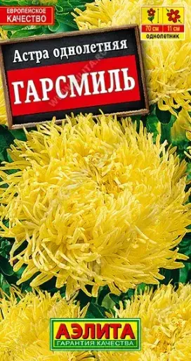 [29020103032] Астра Гарсмиль коготковая