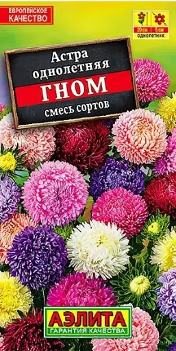 [29020103035] Астра Гном, смесь сортов