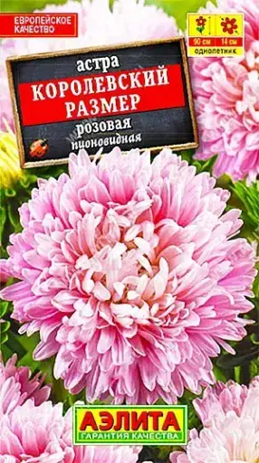 [29020103046] Астра Королевский размер розовая