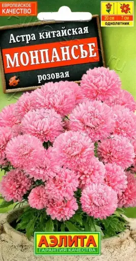 [29020103060] Астра Монпансье розовая