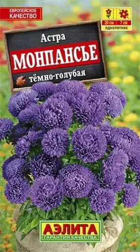 [29020103062] Астра Монпансье темно-голубая