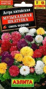 [29020103064] Астра Музыкальная шкатулка, смесь сортов