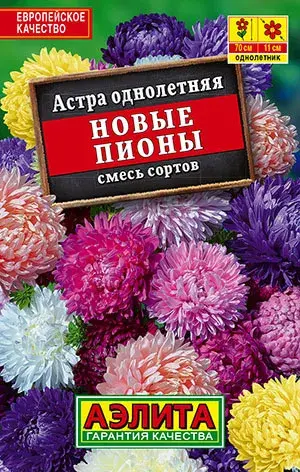 [29020103065] Астра Новые пионы, смесь сортов