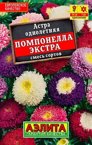 [29020103068] Астра Помпонелла Экстра, смесь сортов