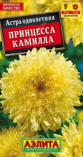 [29020103072] Астра Принцесса Камилла