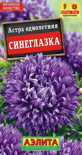 [29020103074] Астра Синеглазка