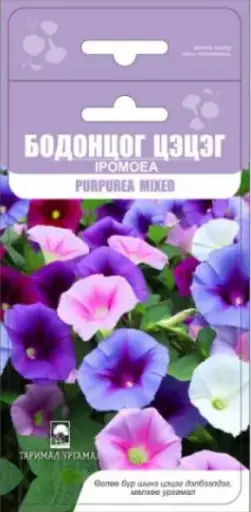 [29020103084] Бодонцог цэцэг Ipomoea  Purturea mixed
