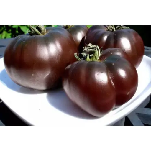 [260404155] Лооль Томат Чёрный Принц