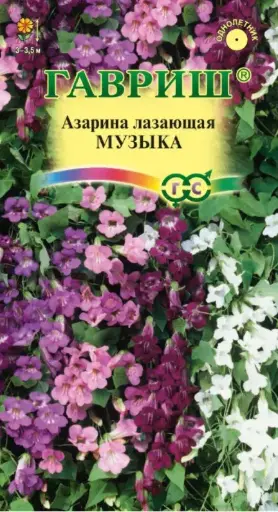 [29020103105] Азарина Музыка, смесь