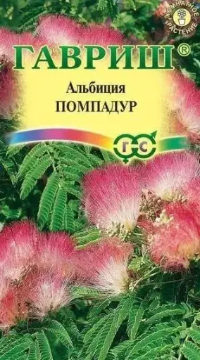 [290202014] Альбиция Помпадур