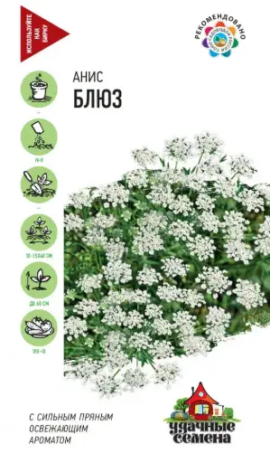 [3102002] Анис БЛЮЗ