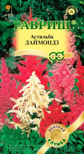 [1702002] Астильба Даймонд, Арендса Элитная клумба