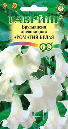 [290202019] Бругмансия Аромагия белая  3 шт.