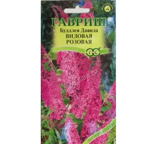 [29020101013] Буддлея Видовая розовая