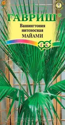 [290202021] Вашингтония нитеносная Майами