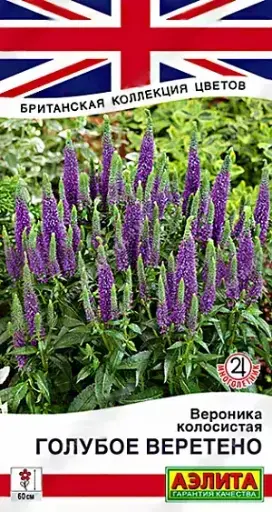 [29020101015] Вероника Голубое веретено