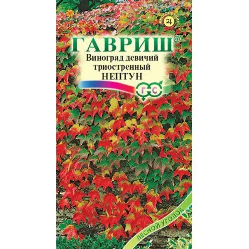 [29020101016] Виноград девичий триостренный НЕПТУН