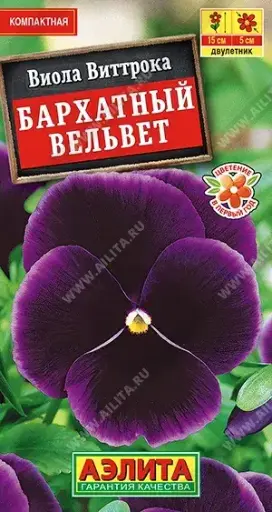 [29020102010] Виола Бархатный вельвет