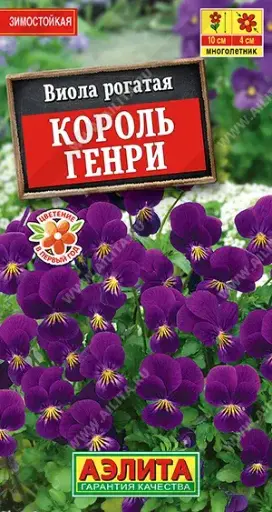 [29020101018] Виола Король Генри