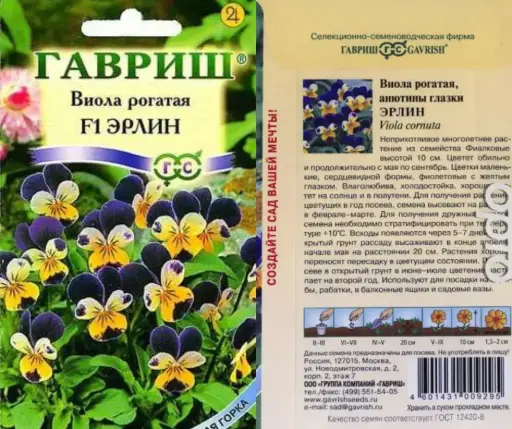 [29020102026] Виола Рогатая Эрлин